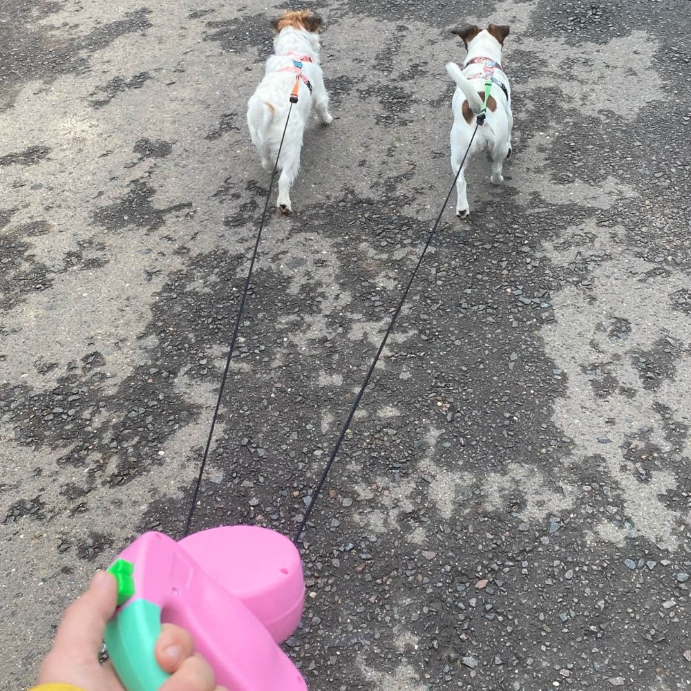 Dual Retractable Double Head Dog Leash No Tangle - Best Buddy Store