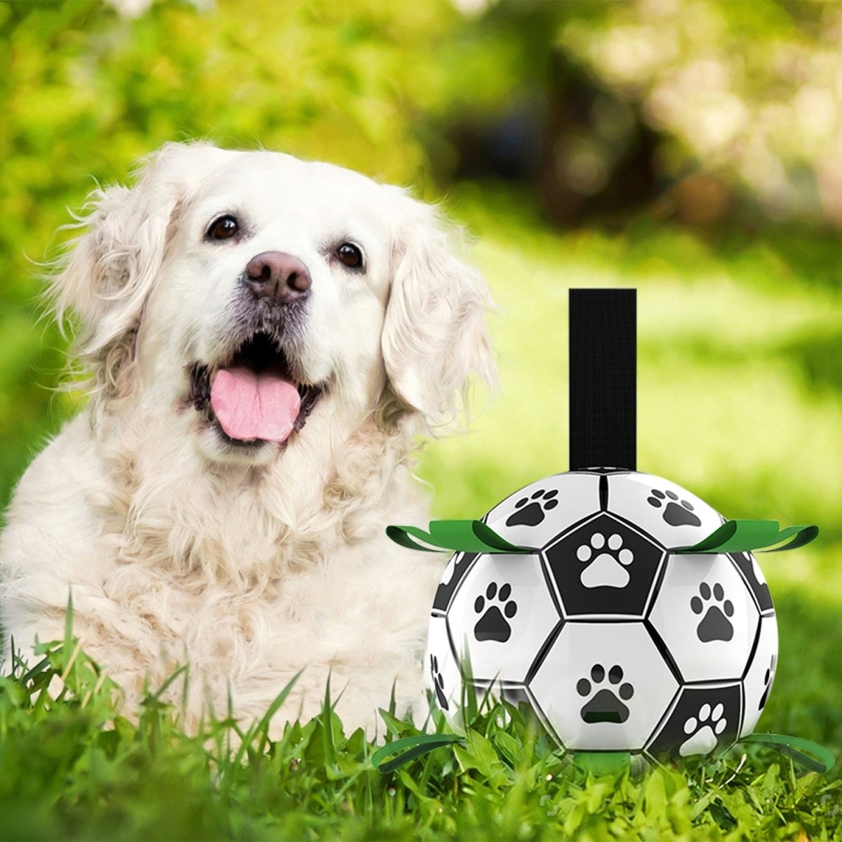 Durable Dog Ball IQ Puzzle Chew Toy Ball - 6.5in - Best Buddy Store