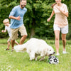 Durable Dog Ball IQ Puzzle Chew Toy Ball - 6.5in - Best Buddy Store