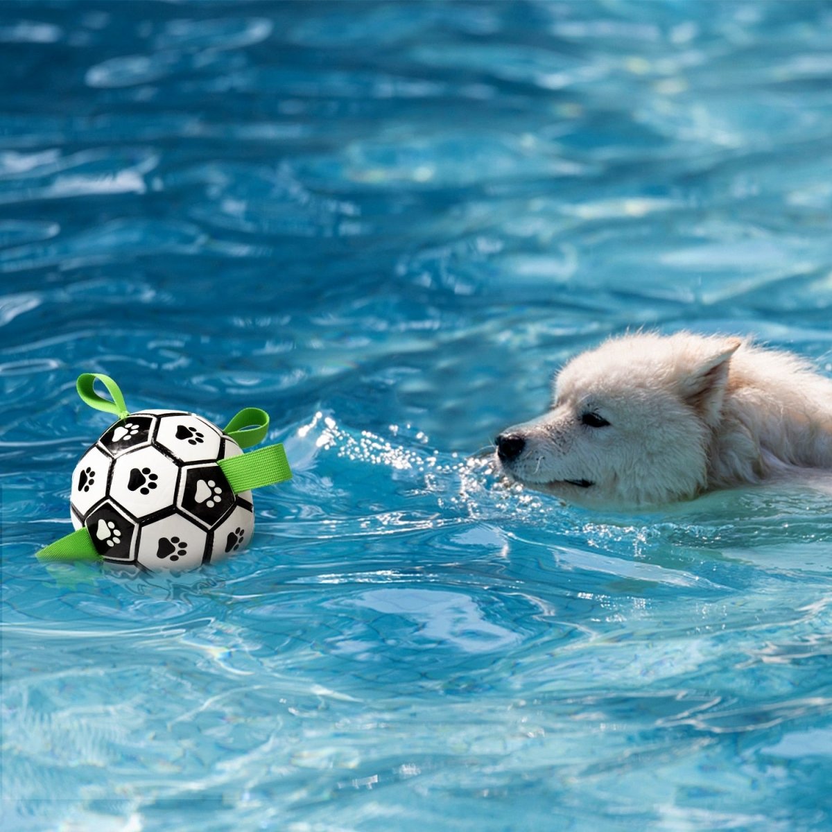Durable Dog Ball IQ Puzzle Chew Toy Ball - 6.5in - Best Buddy Store