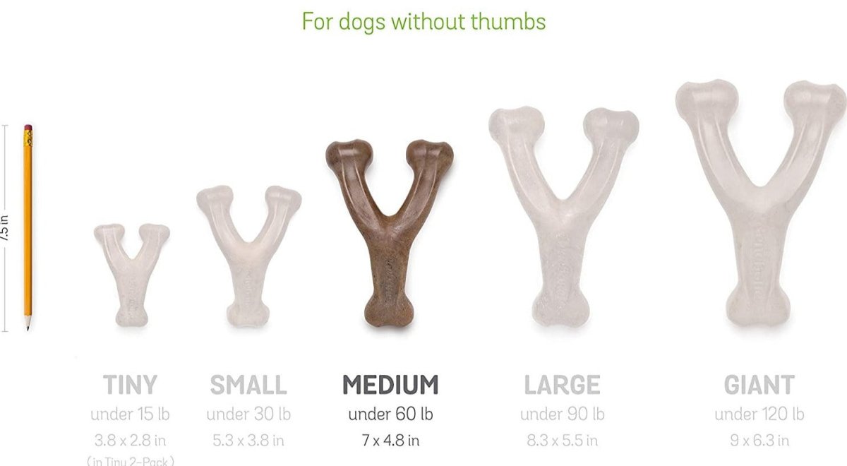 Durable Dog Chew Toy for Aggressive Chewers - Best Buddy Store