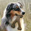 Durable Dog Chew Toy for Aggressive Chewers - Best Buddy Store