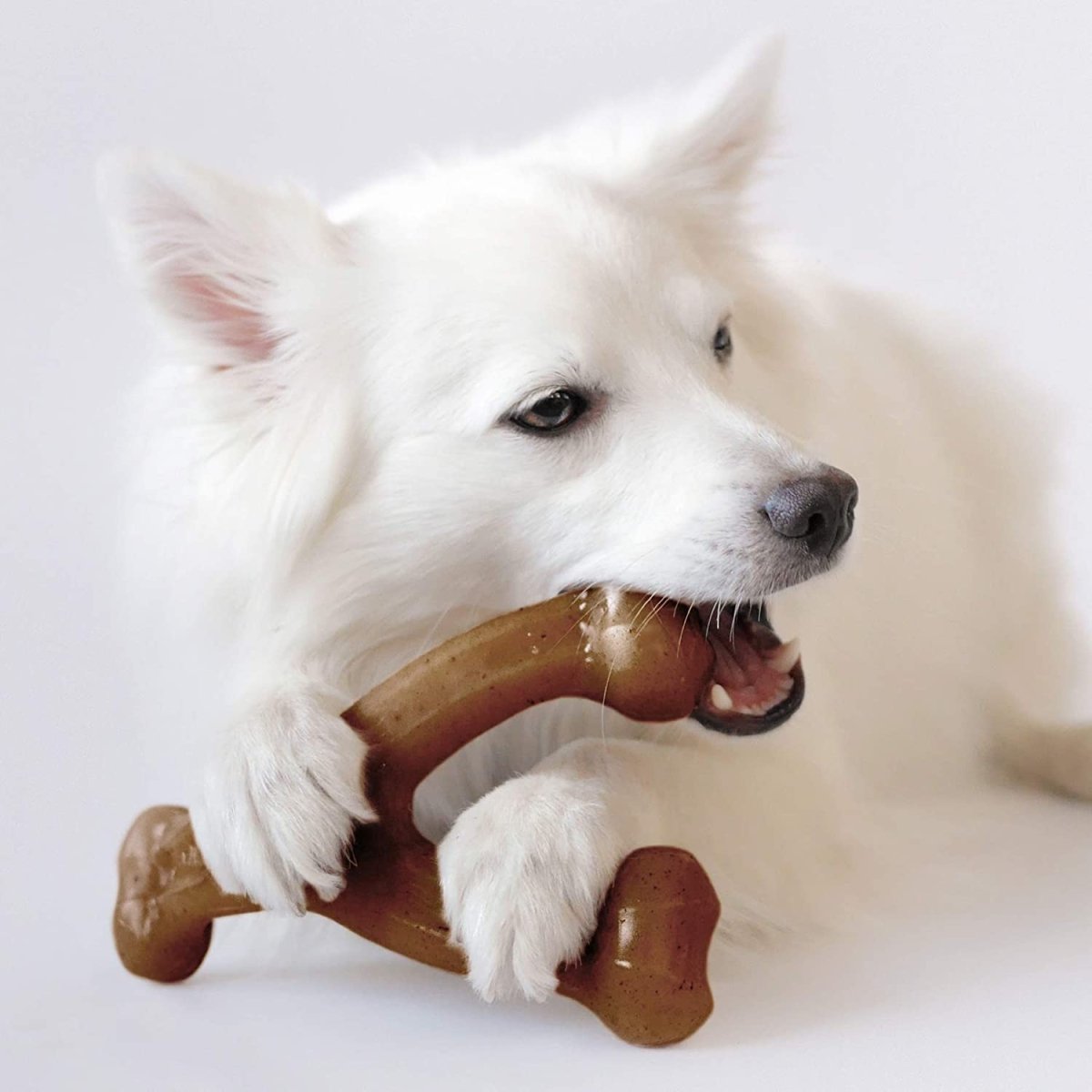 Durable Dog Chew Toy for Aggressive Chewers - Best Buddy Store