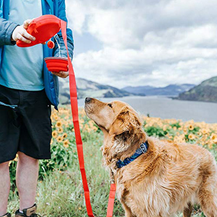Durable Dog Leash Automatic Retractable With Water Bottle Bowl - Best Buddy Store