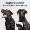 Vibrating Anti Bark Dog Collar With Remote Control - BestBuddyStore