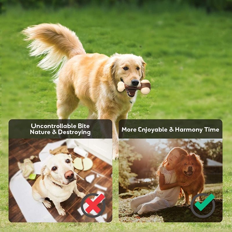Eco - friendly Durable Dog Bone For Aggressive Chewers - Beef Flavored - Best Buddy Store