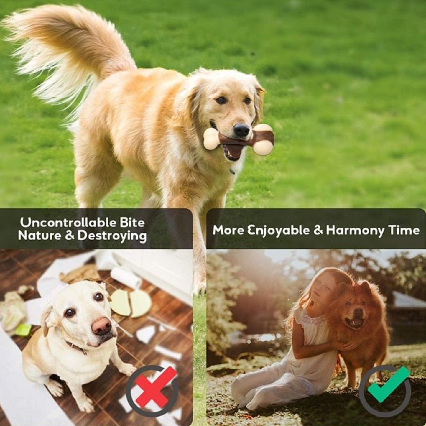 Eco - friendly Durable Dog Bone For Aggressive Chewers - Beef Flavored - Best Buddy Store