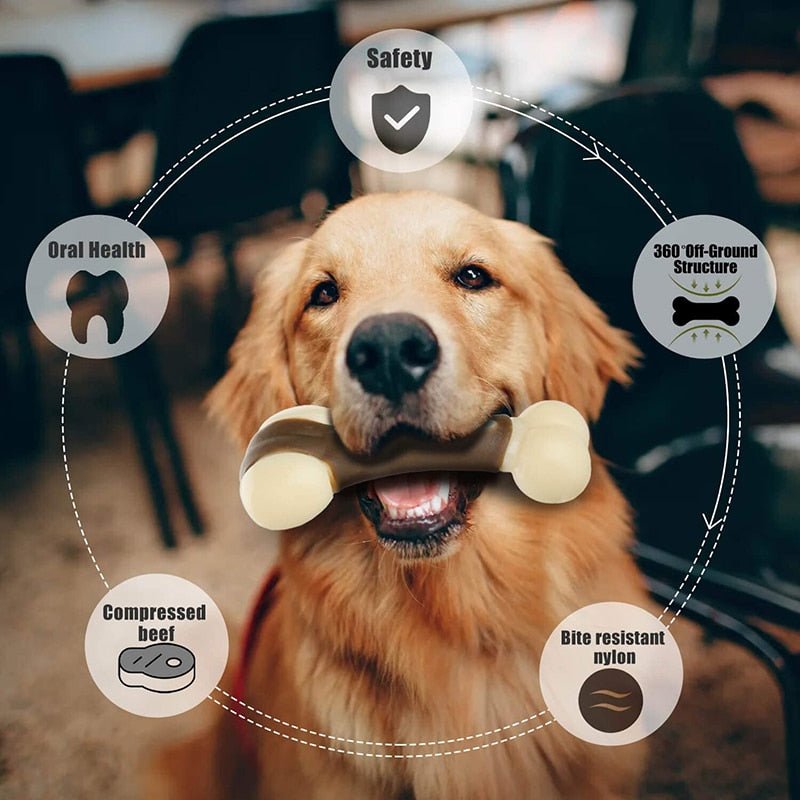 Eco - friendly Durable Dog Bone For Aggressive Chewers - Beef Flavored - Best Buddy Store