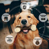 Eco - friendly Durable Dog Bone For Aggressive Chewers - Beef Flavored - Best Buddy Store
