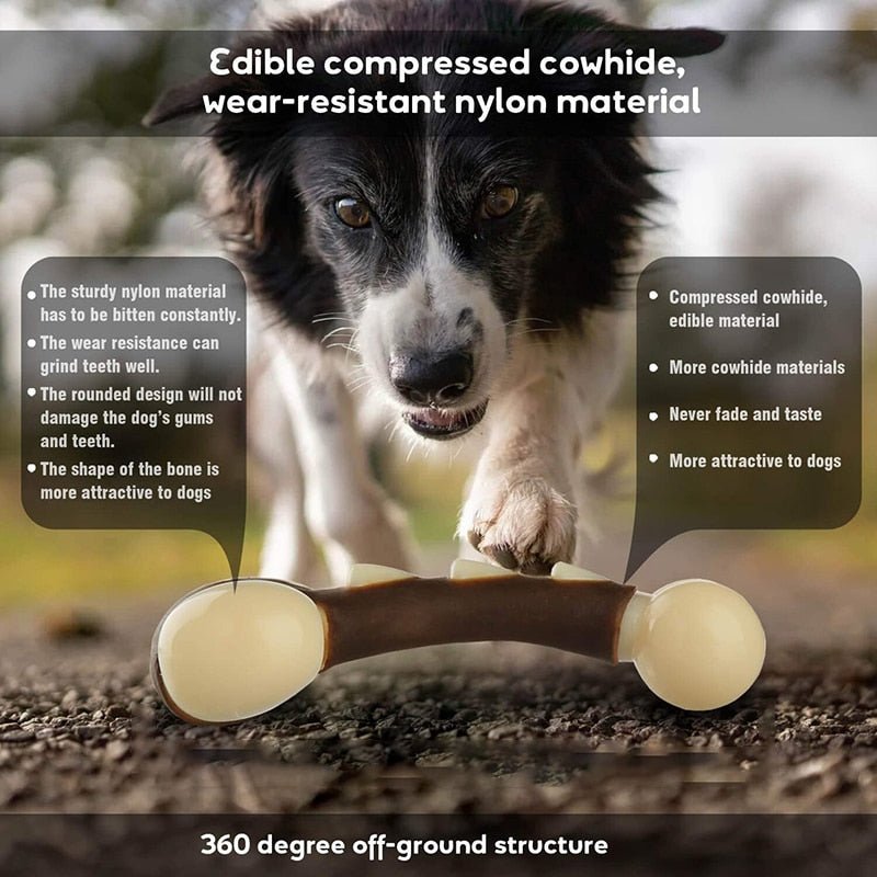 Eco - friendly Durable Dog Bone For Aggressive Chewers - Beef Flavored - Best Buddy Store