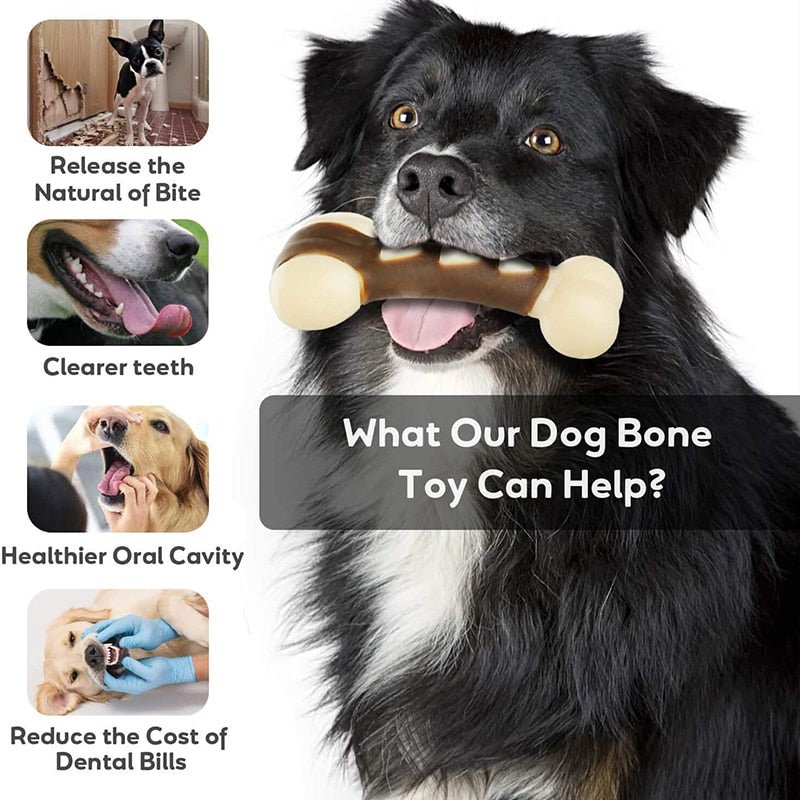 Eco - friendly Durable Dog Bone For Aggressive Chewers - Beef Flavored - Best Buddy Store