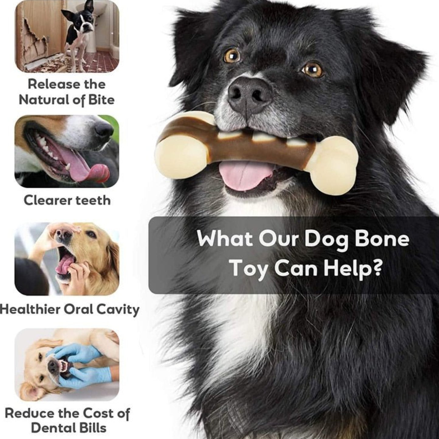 Eco - friendly Durable Dog Bone For Aggressive Chewers - Beef Flavored - Best Buddy Store