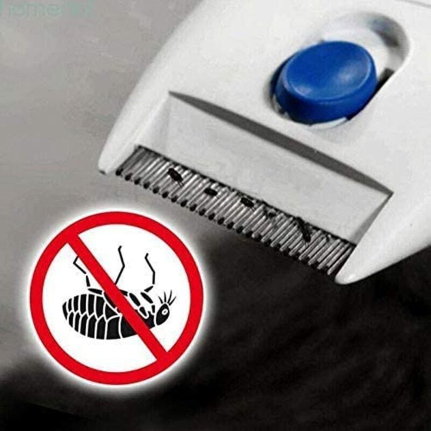Electric Pet Grooming Brush for Dogs and Cats - Best Buddy Store
