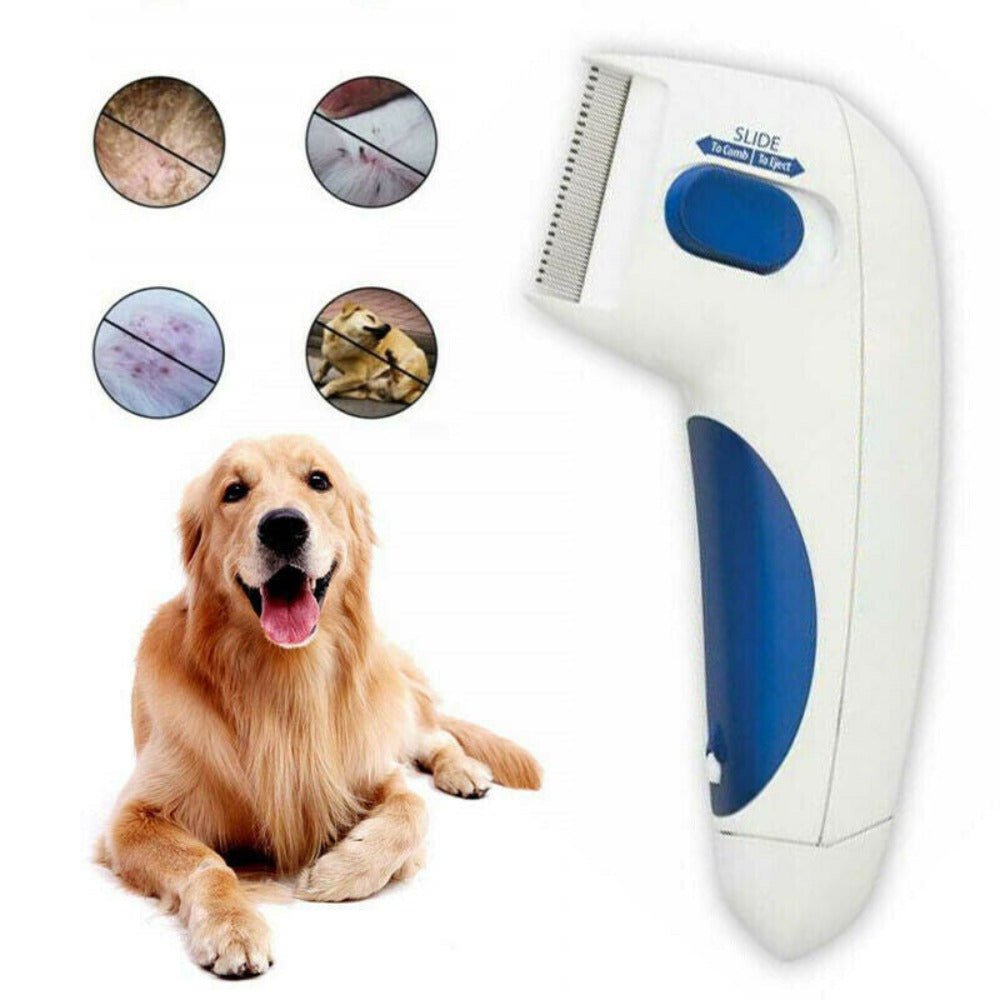 Electric Pet Grooming Brush for Dogs and Cats - Best Buddy Store