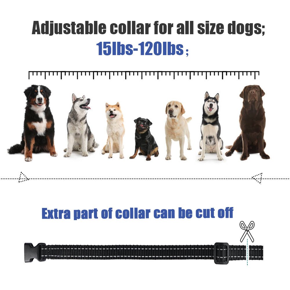 Electric Waterproof Dog Training Collar With Shock Function 800m - Best Buddy Store