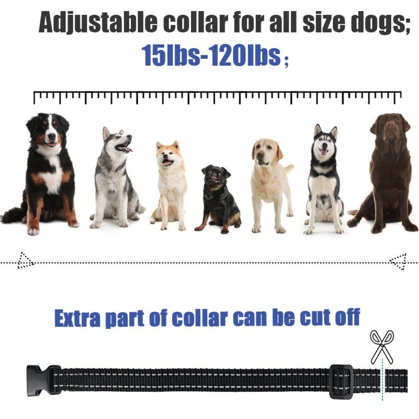 Electric Waterproof Dog Training Collar With Shock Function 800m - Best Buddy Store