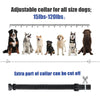 Electric Waterproof Dog Training Collar With Shock Function 800m - Best Buddy Store