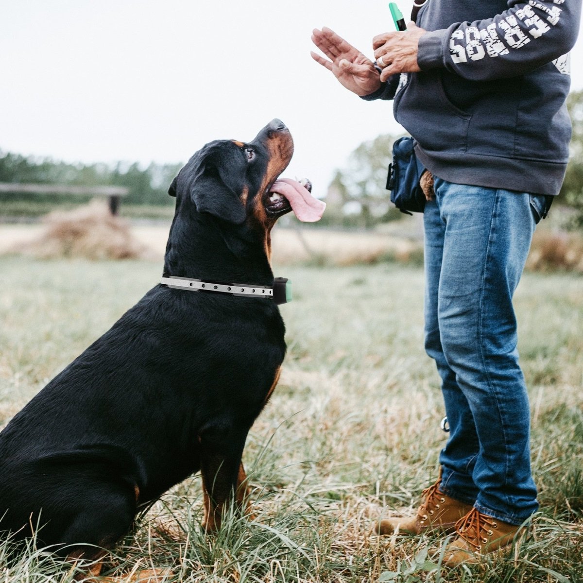 Electric Waterproof Dog Training Collar With Shock Function 800m - Best Buddy Store