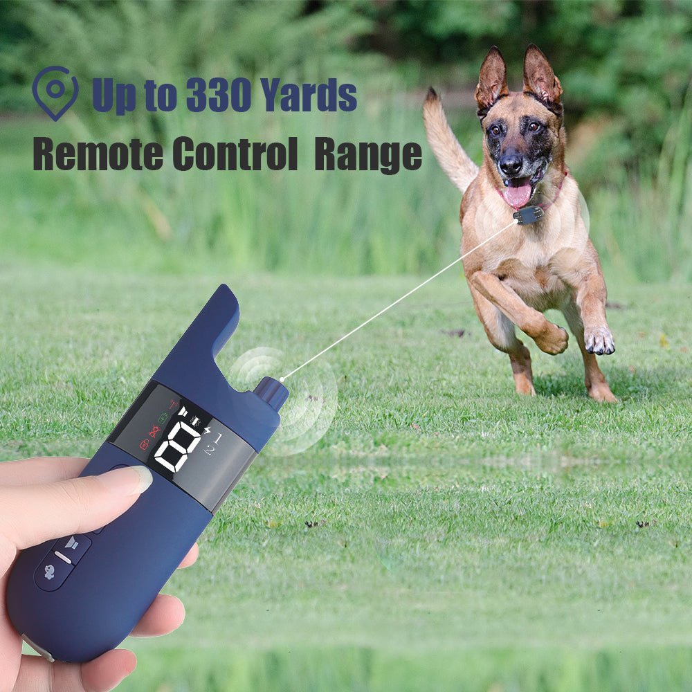 Electric Waterproof Dog Training Collar With Shock Function 800m - Best Buddy Store
