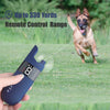 Electric Waterproof Dog Training Collar With Shock Function 800m - Best Buddy Store