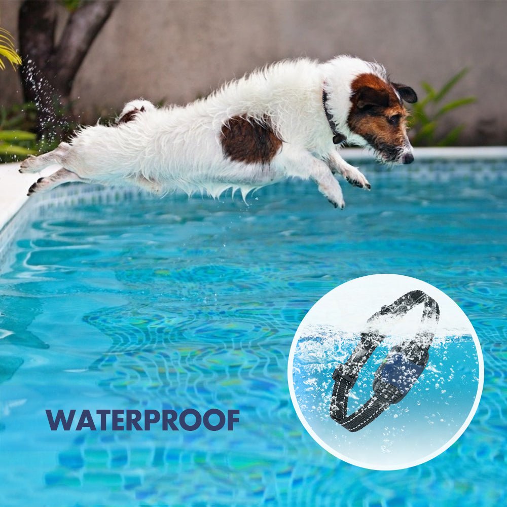 Electric Waterproof Dog Training Collar With Shock Function 800m - Best Buddy Store