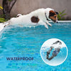 Electric Waterproof Dog Training Collar With Shock Function 800m - Best Buddy Store