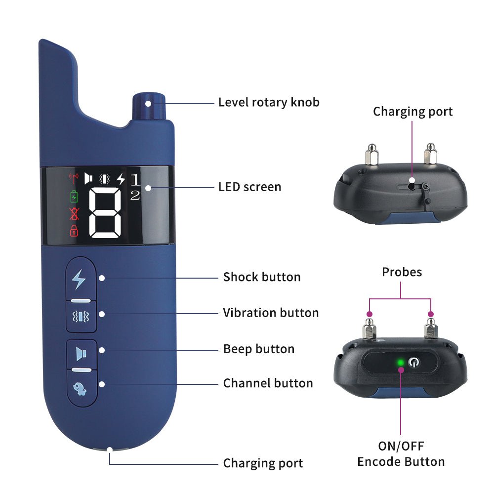 Electric Waterproof Dog Training Collar With Shock Function 800m - Best Buddy Store