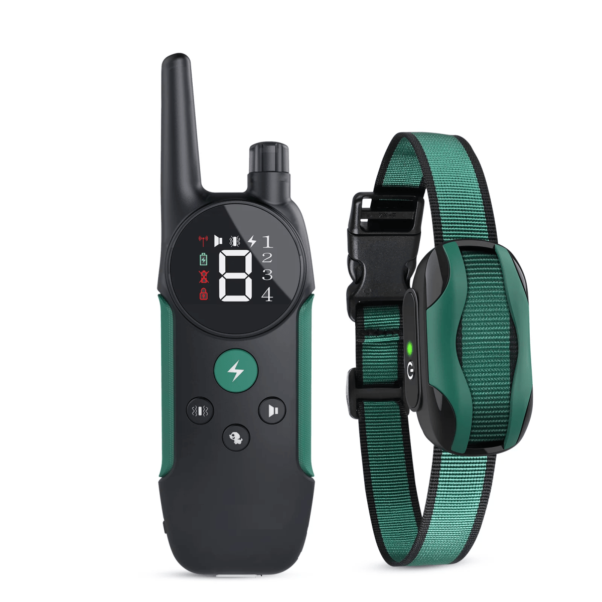 Electric Waterproof Dog Training Collar With Shock Function 800m - Best Buddy Store