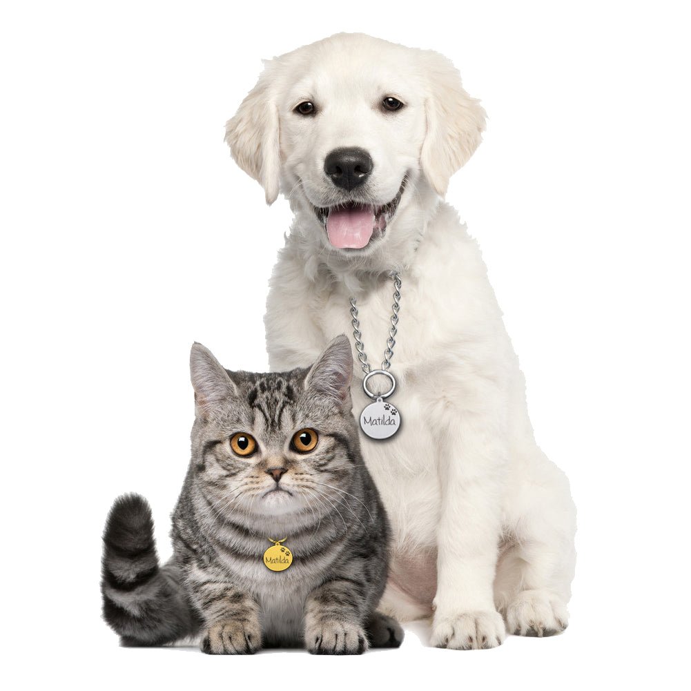 Engraved Pet ID Tag Personalized Custom Name Pendant - Best Buddy Store