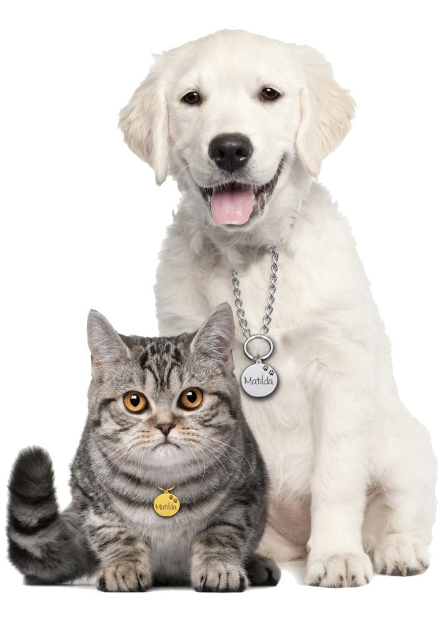 Engraved Pet ID Tag Personalized Custom Name Pendant - Best Buddy Store