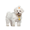 Engraved Pet ID Tag Personalized Custom Name Pendant - Best Buddy Store