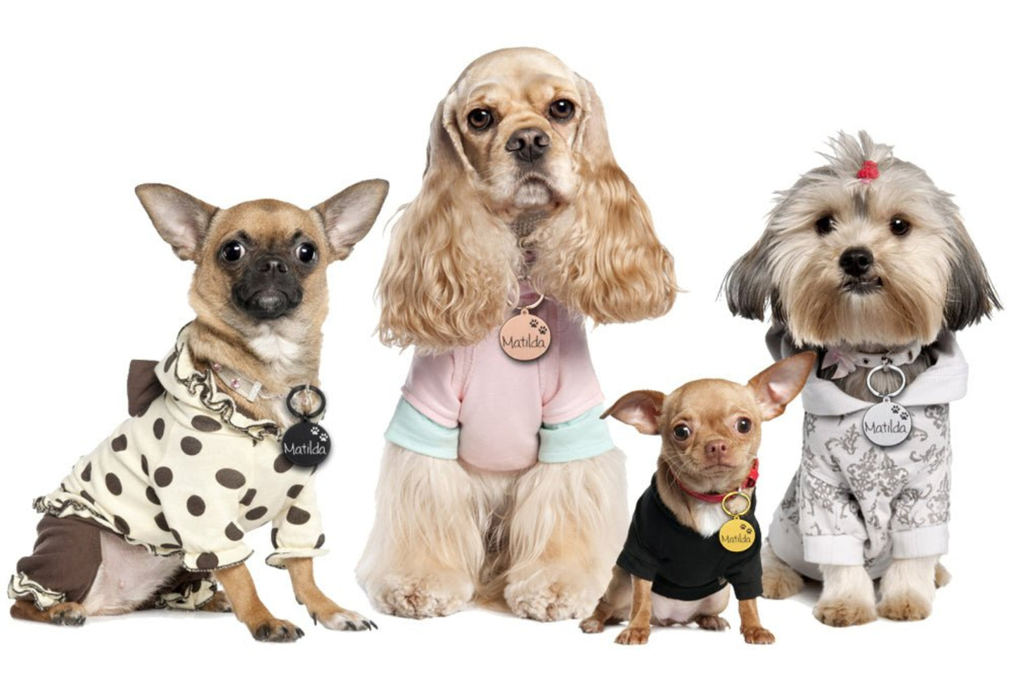 Engraved Pet ID Tag Personalized Custom Name Pendant - Best Buddy Store