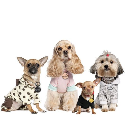 Engraved Pet ID Tag Personalized Custom Name Pendant - Best Buddy Store