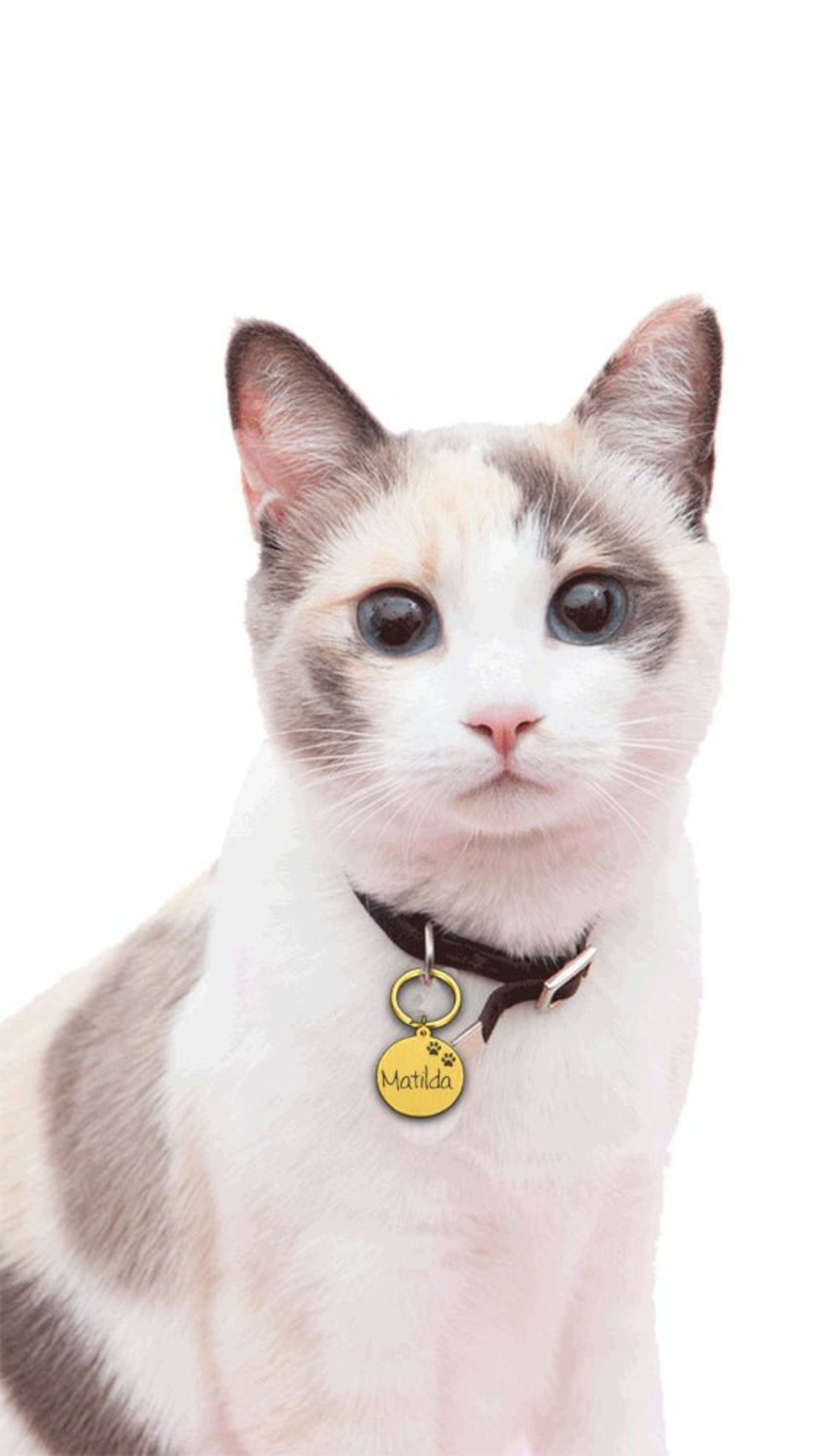 Engraved Pet ID Tag Personalized Custom Name Pendant - Best Buddy Store