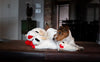 Lambchop Plush Dog Toy with Squeaker - BestBuddyStore