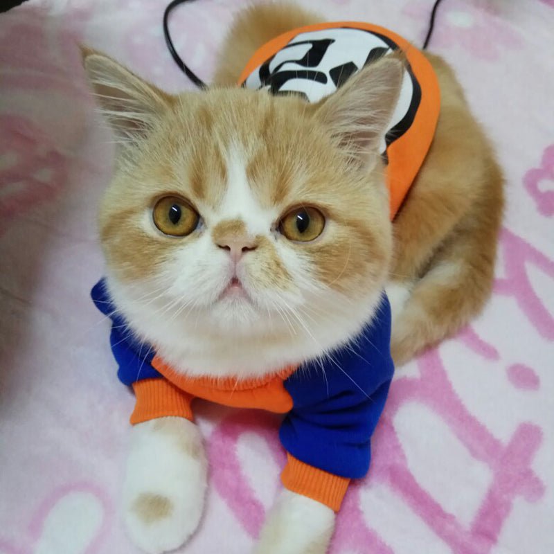 Fashion Cat Costume Vest Hoodie Sweatshirt Outfit - Best Buddy Store