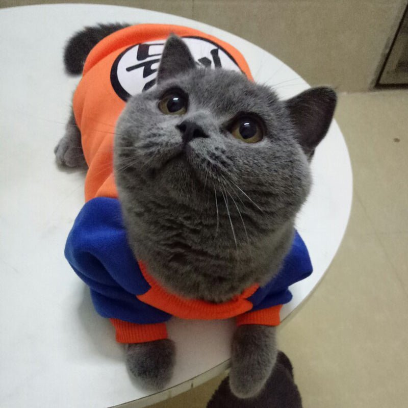 Fashion Cat Costume Vest Hoodie Sweatshirt Outfit - Best Buddy Store
