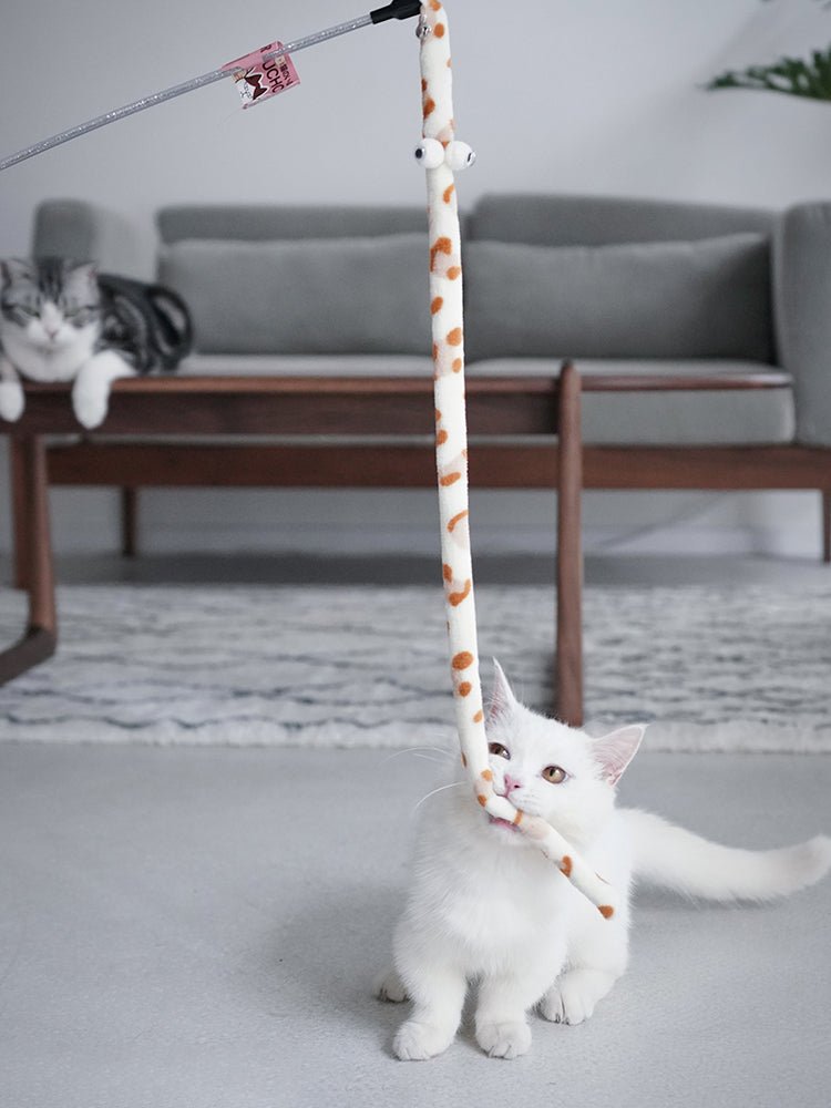 Feather Cat Teaser Interactive Toy - Colorful - Best Buddy Store