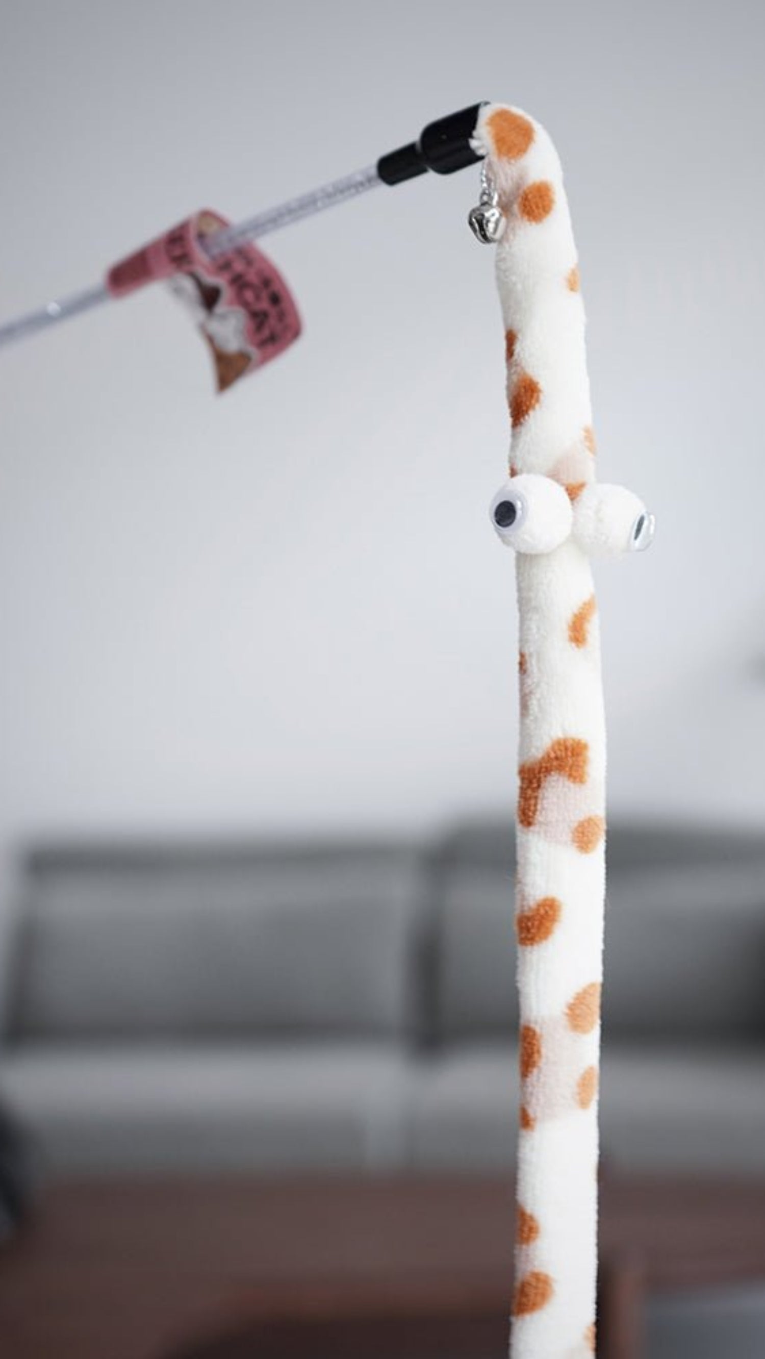 Feather Cat Teaser Interactive Toy - Colorful - Best Buddy Store