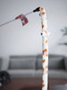 Feather Cat Teaser Interactive Toy - Colorful - Best Buddy Store