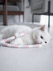 Feather Cat Teaser Interactive Toy - Colorful - Best Buddy Store