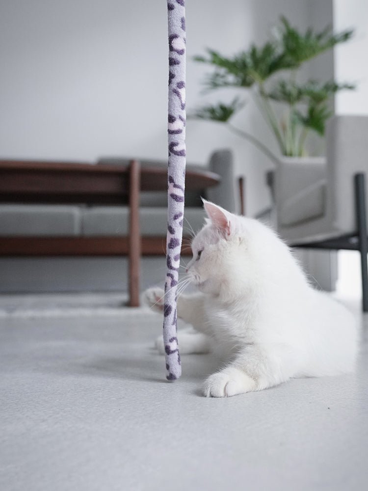 Feather Cat Teaser Interactive Toy - Colorful - Best Buddy Store