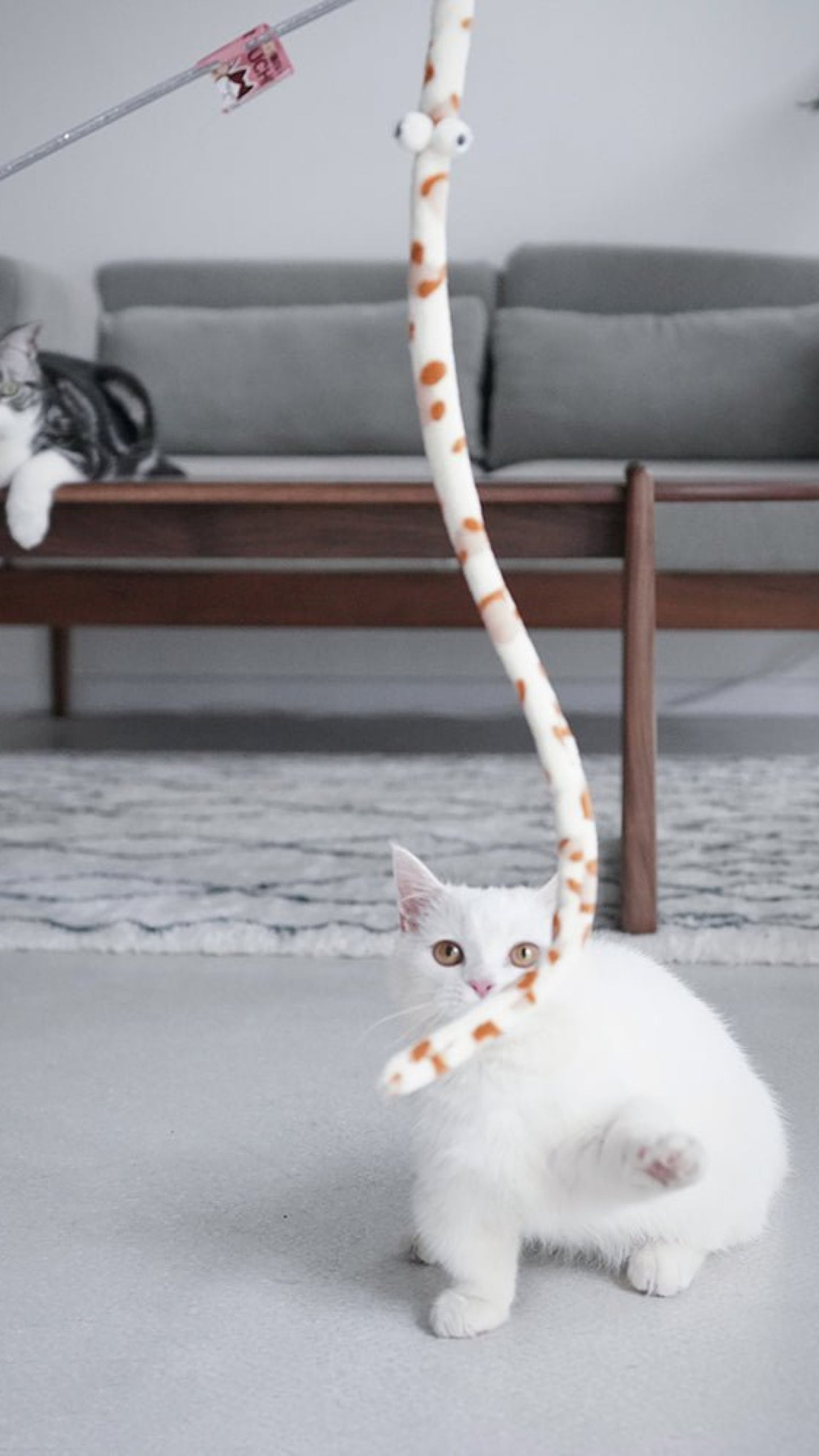 Feather Cat Teaser Interactive Toy - Colorful - Best Buddy Store
