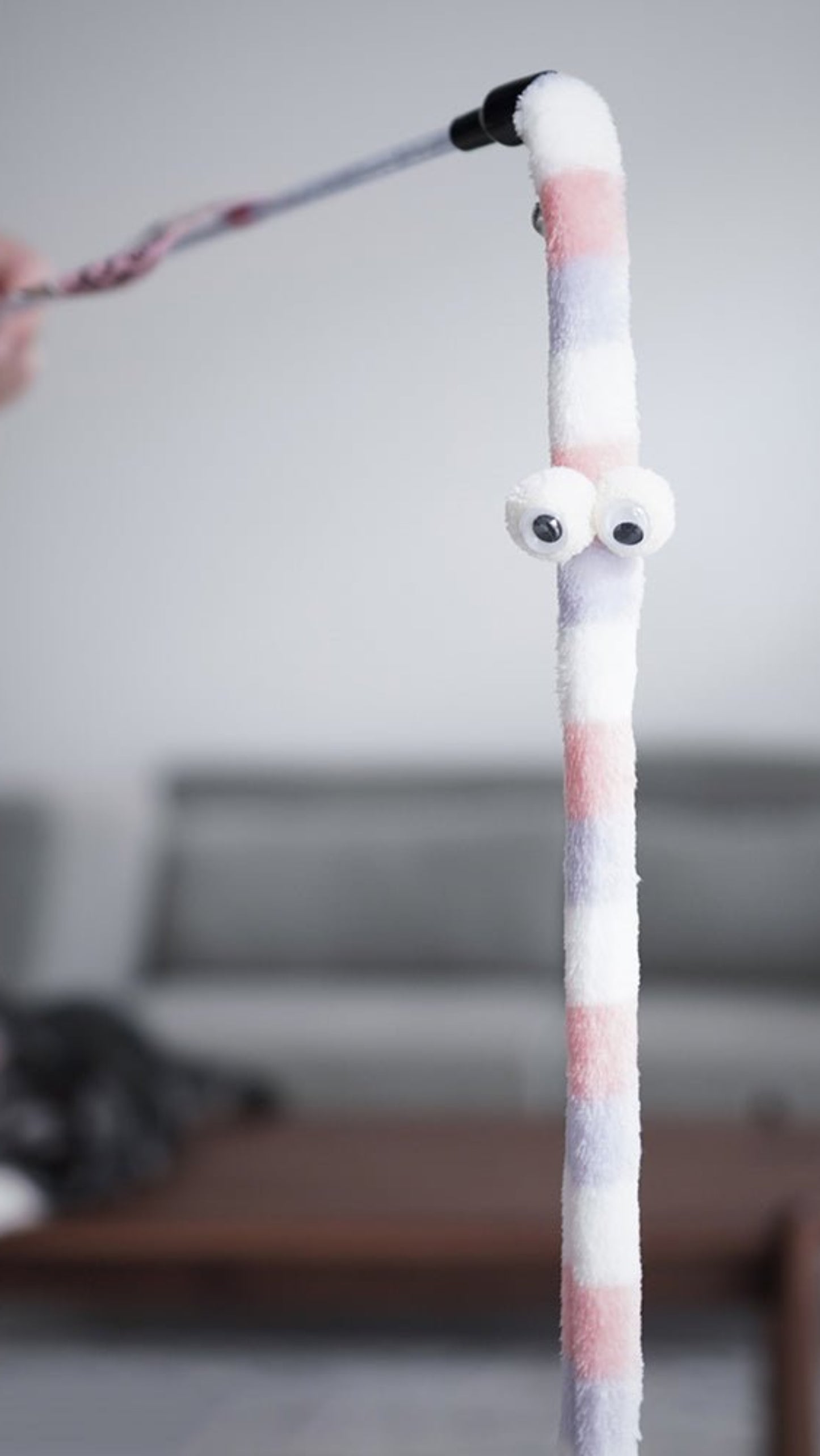 Feather Cat Teaser Interactive Toy - Colorful - Best Buddy Store