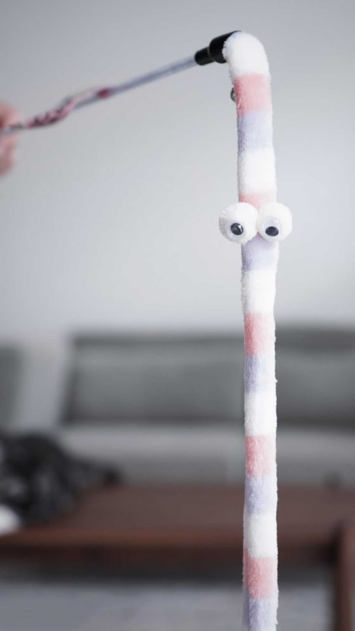 Feather Cat Teaser Interactive Toy - Colorful - Best Buddy Store