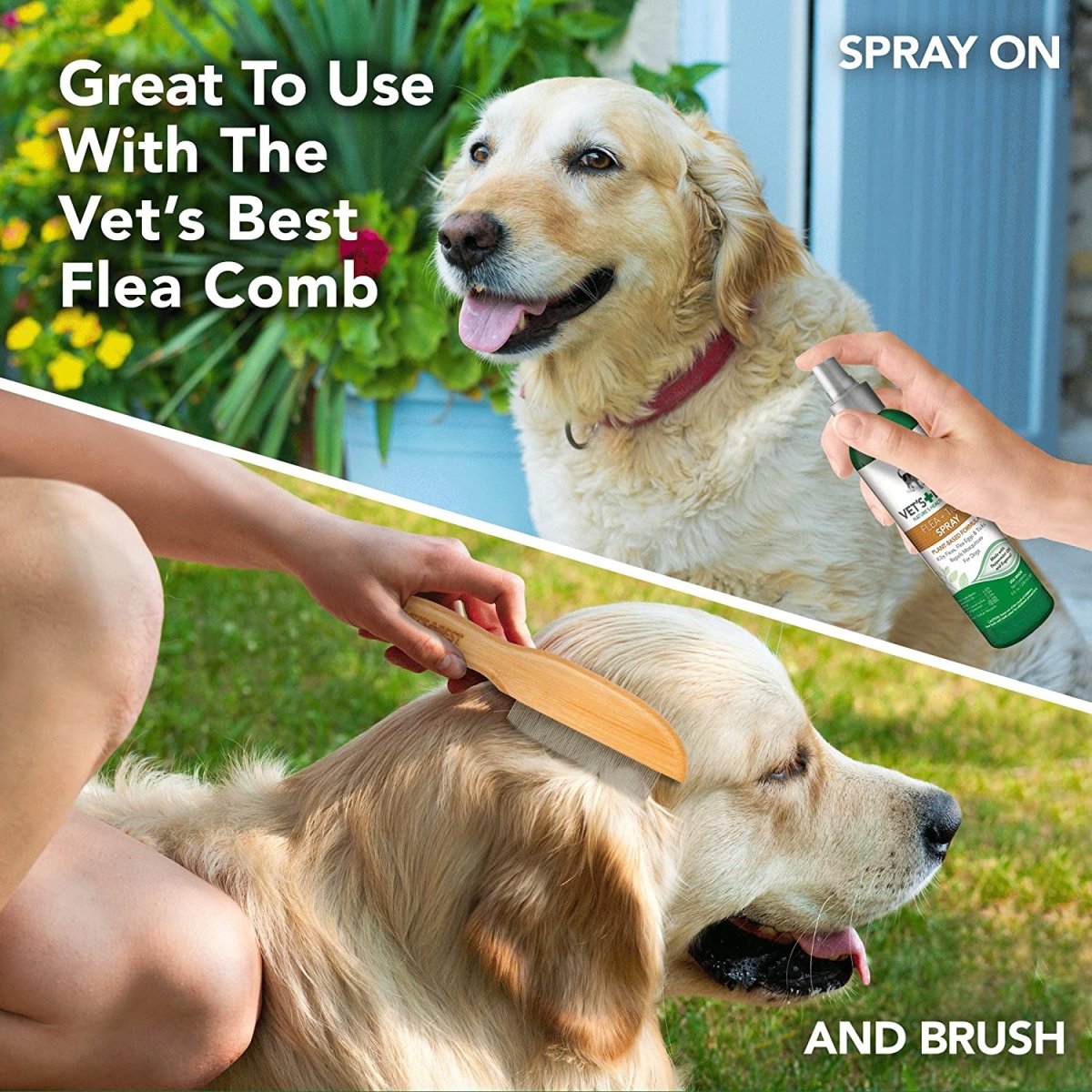 Flea Treatment for Dogs and Home | Flea Killer with Certified Natural Oils - Best Buddy Store