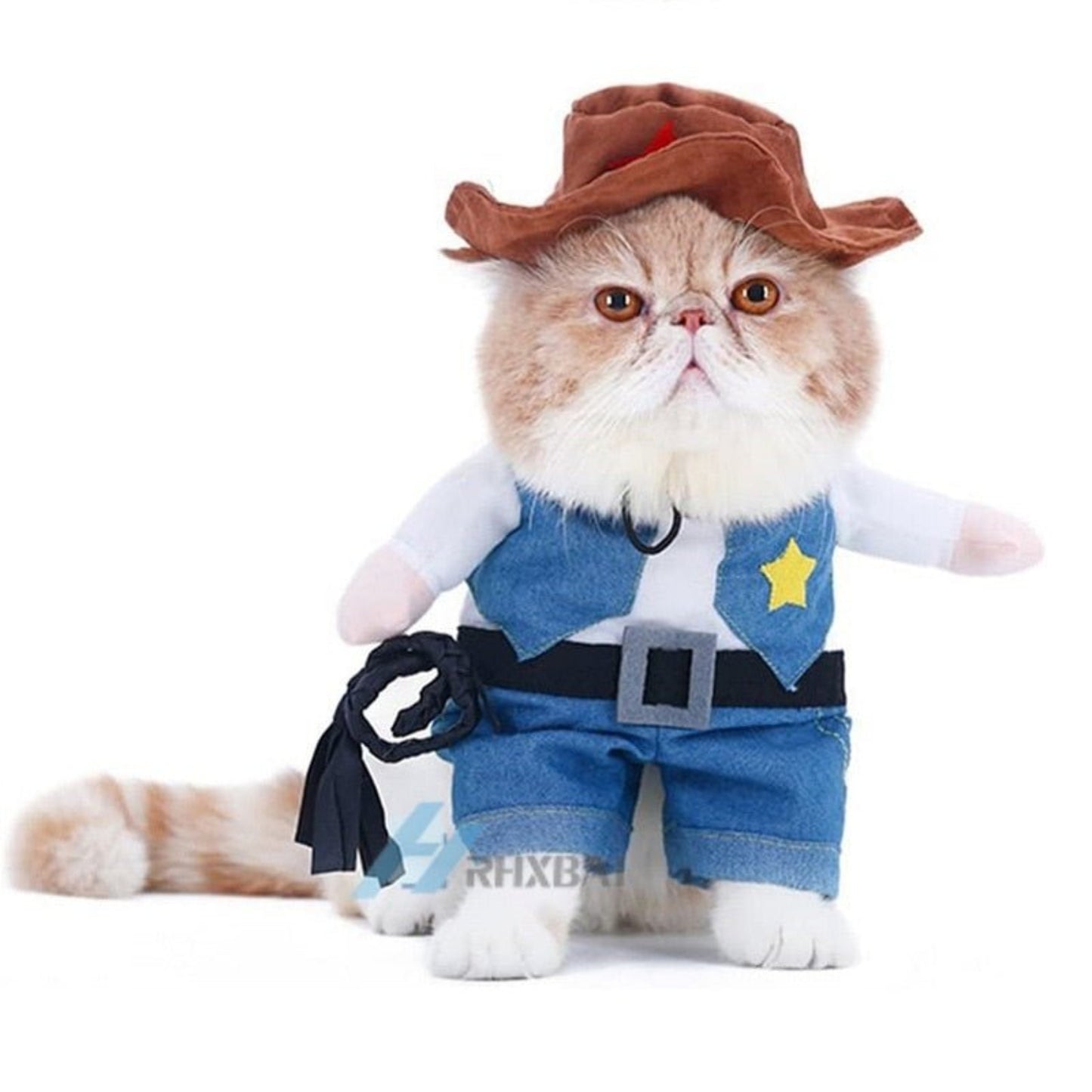 Funny Dog Cat Halloween Costume - Best Buddy Store