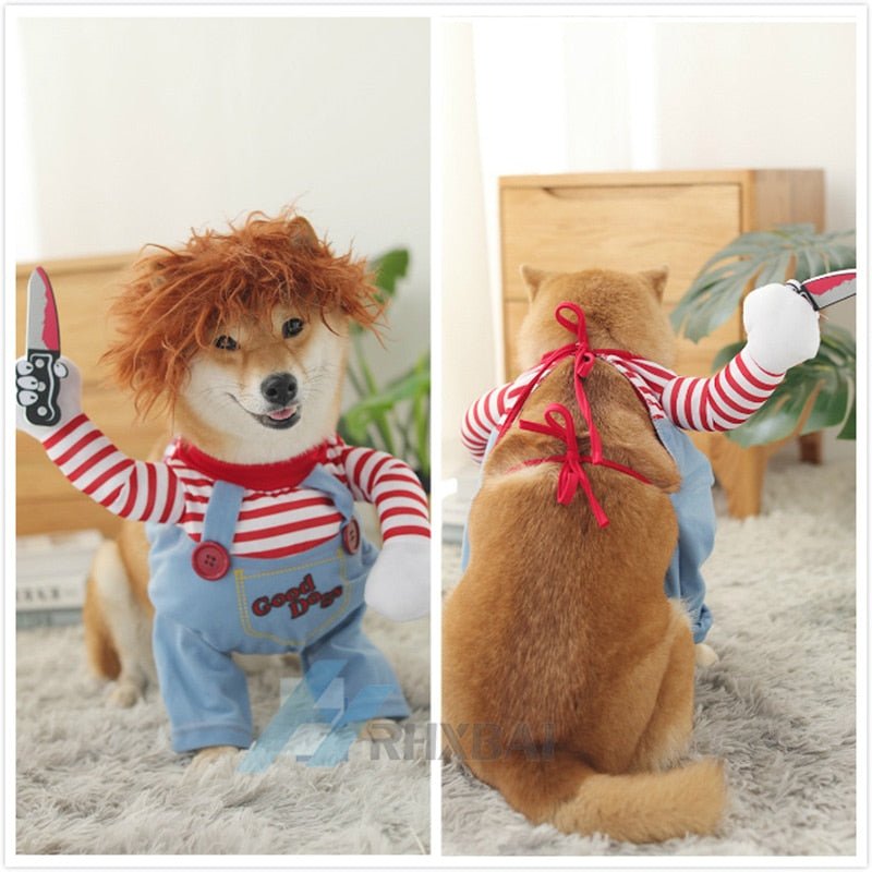 Funny Dog Cat Halloween Costume - Best Buddy Store