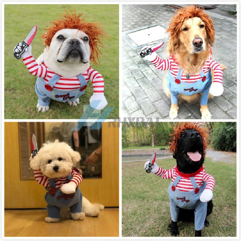 Funny Dog Cat Halloween Costume - Best Buddy Store