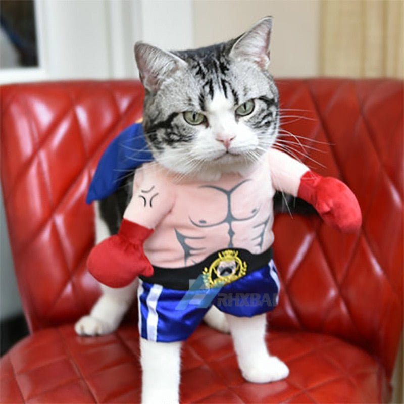 Funny Dog Cat Halloween Costume - Best Buddy Store